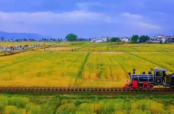 秦韵焕新·青春代言｜“我为我的家乡代言”主题演讲征稿启事